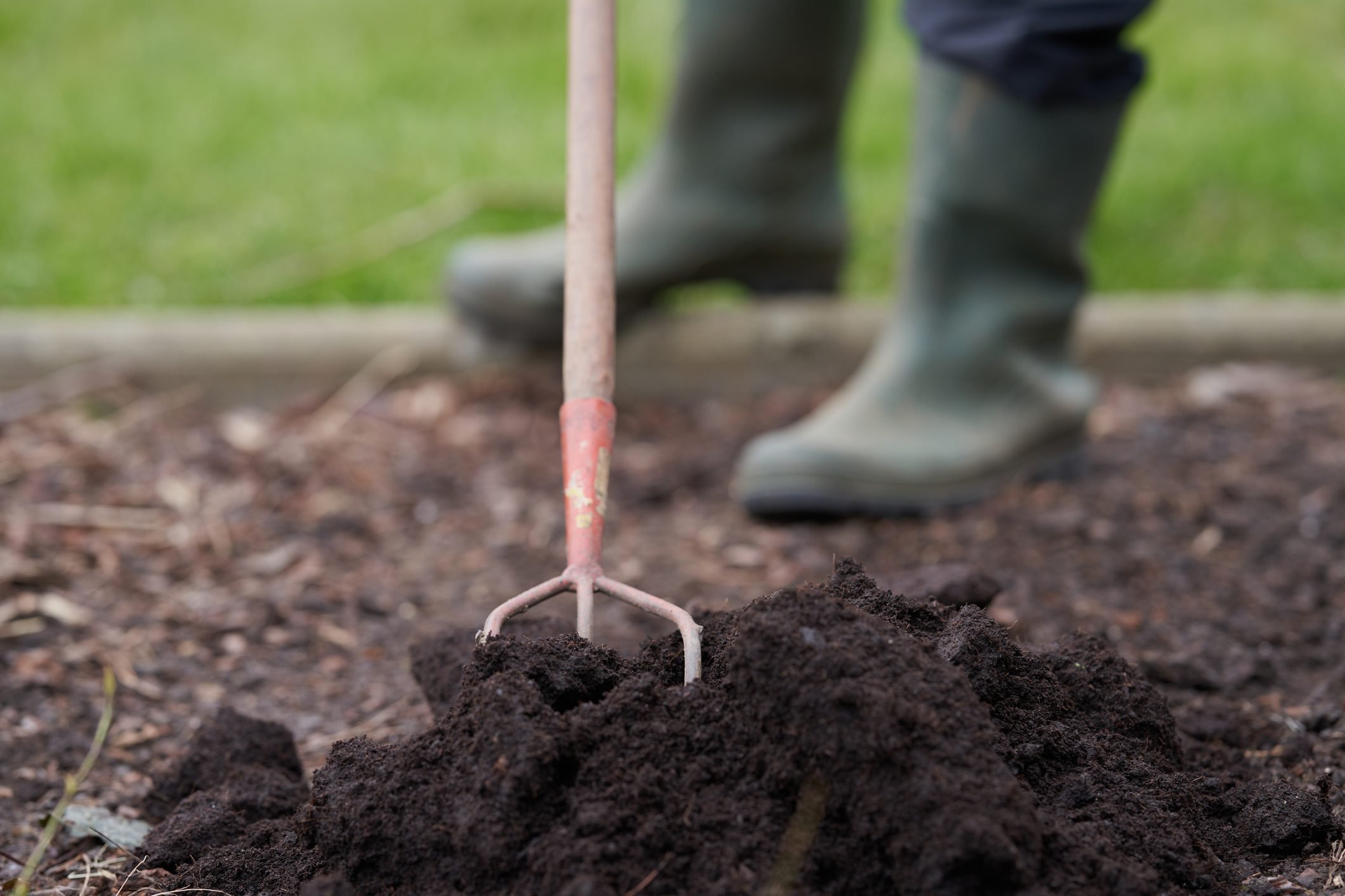 Compost and native soil