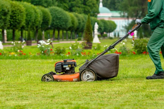 man pushing a lawn mower in a well manicured green lawn with flowers in the foreground