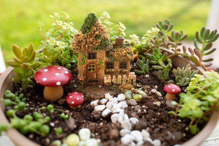 Miniature Fairy Garden- Outdoor
