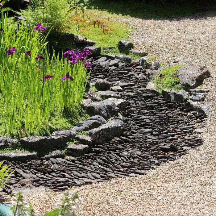 a dry meandering river bed stream, which is part of a Japanese garden and is created by neatly placed slate paddlestones and pebbles, which are laid and overlapped to represent water alongside a bed of purple iris flowers.