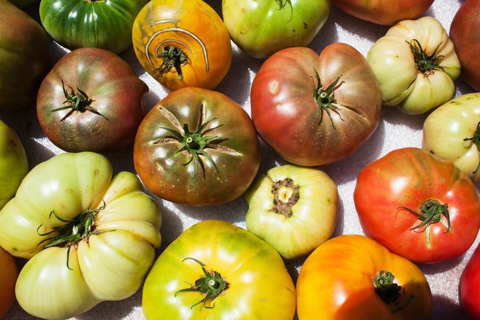 Still life of heirloom tomatoes