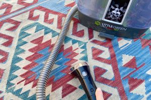How To Disinfect Carpet