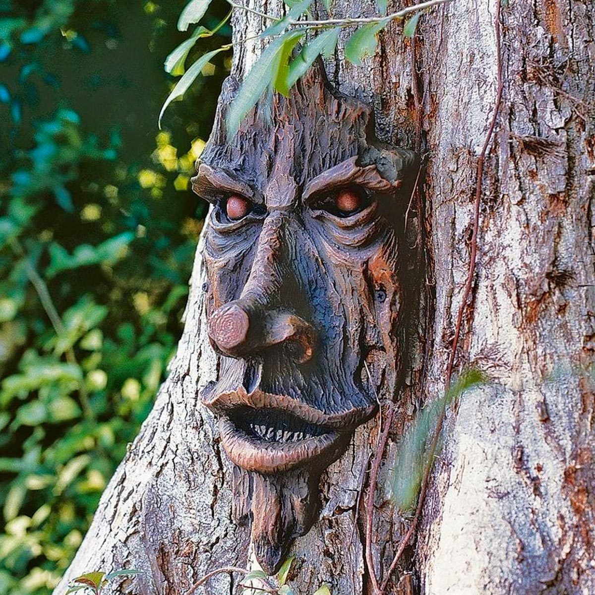 The Spirit Of Nottingham Woods Tree