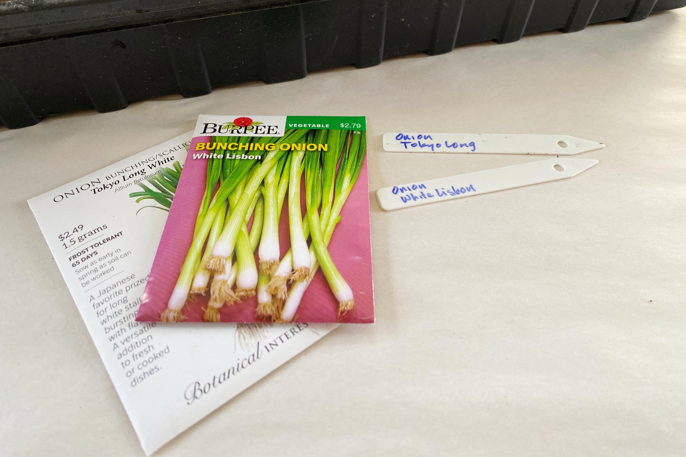 onion seed packets