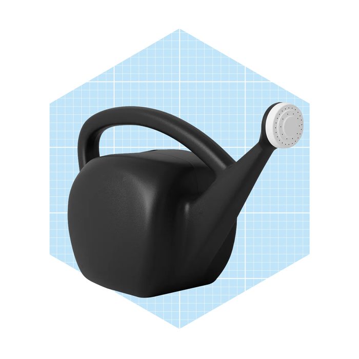 2gal Novelty Watering Can Ecomm Target.com