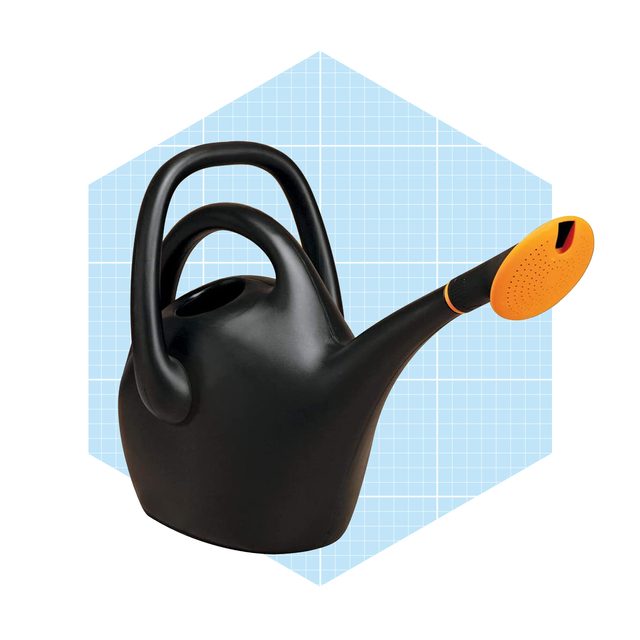 Bloem Easy Pour Watering Can Ecomm Amazon.com