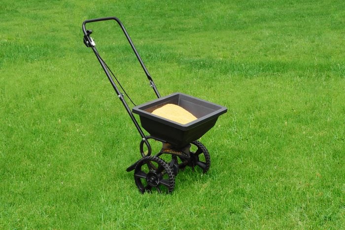 lawn fertilizer spreader filled with sulfur in a backyard with beautiful grass