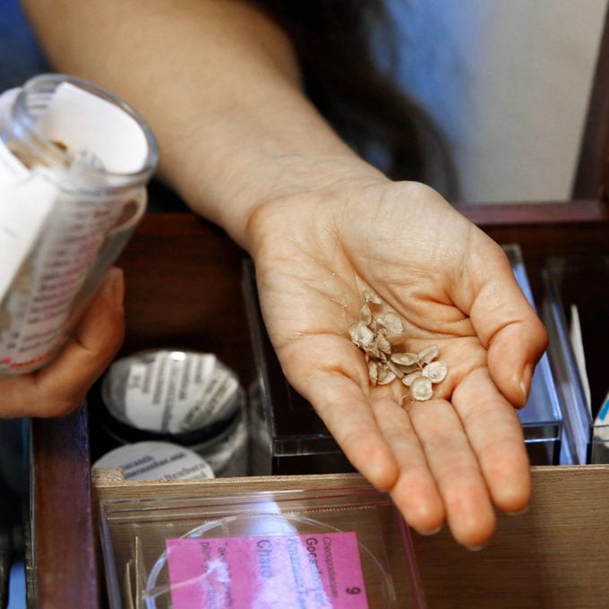 hand taking seeds from a seed library