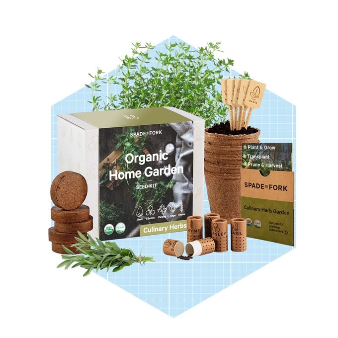 Fork Organic Seed Starter Kit