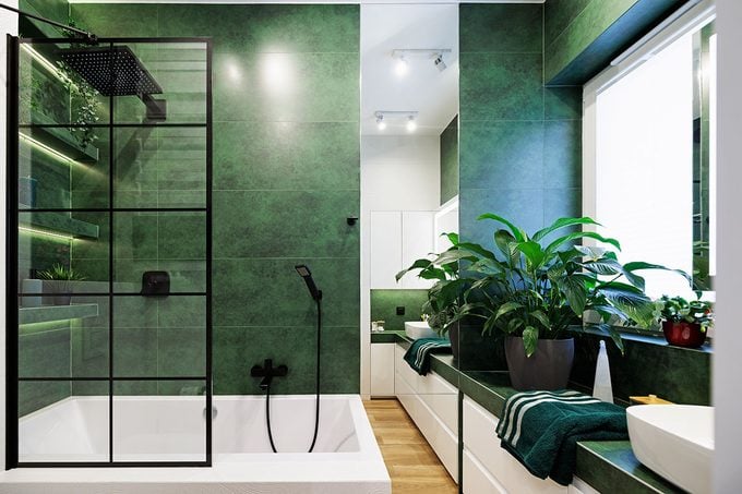 Green Luxury Bathroom, Black Rain Shower Head and black glass panel windows