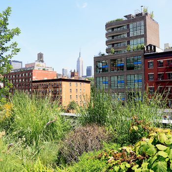 Lower West Side Urban Garden With Empire State Building in the background