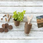 Go Green with this Organic Seed Starter Kit