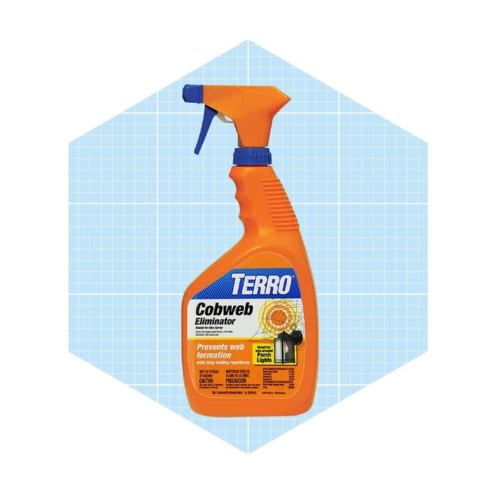 Terro Ready To Use Spider Cobweb Eliminator And Repellent Spray Ecomm Amazon.com