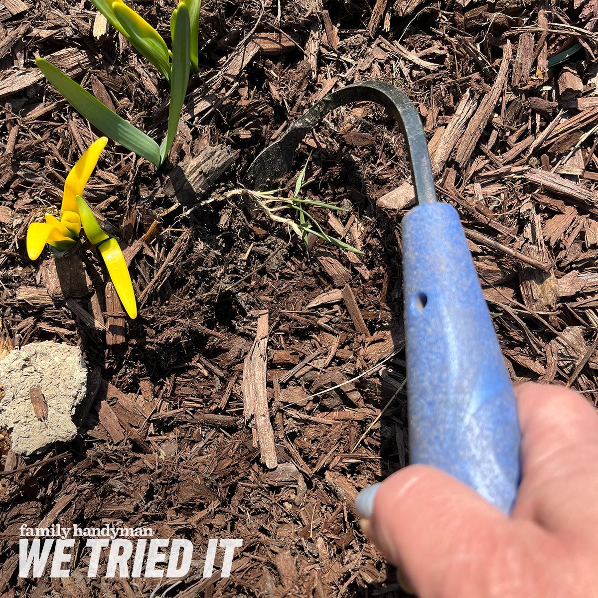 The Versatile Tool Your Garden Craves Cobrahead Weeder