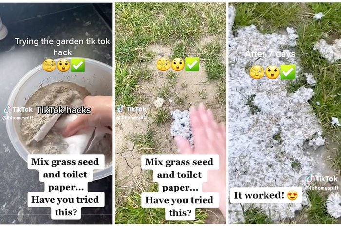 Toilet Paper Grass Seed Hack Via @LbHomesPiff TikTok