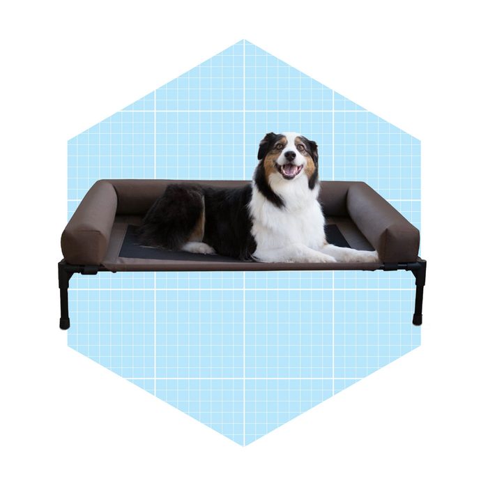 Elevated Dog Bed 