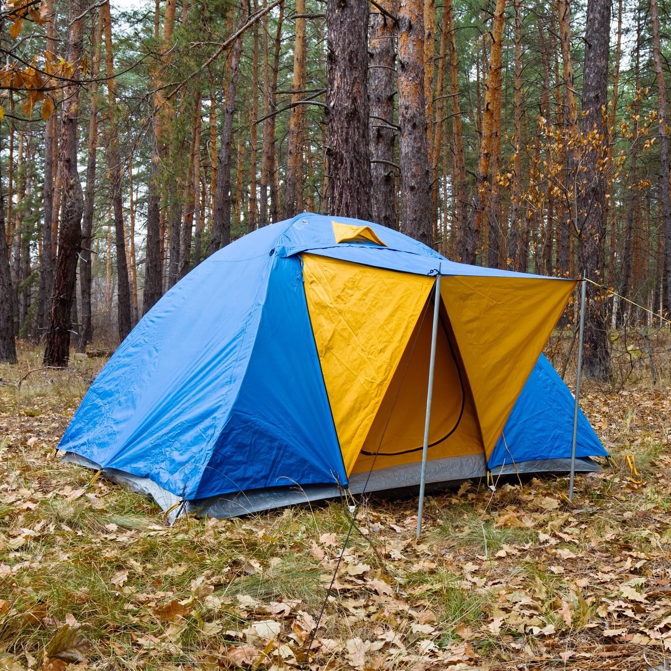 blue touristic tent in a autumn forest