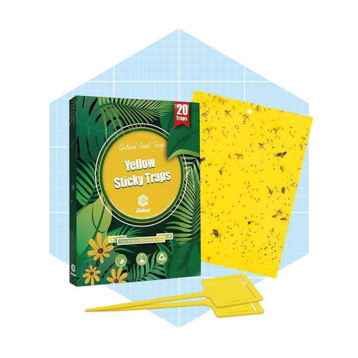 Gideal Dual Sided Yellow Sticky Traps