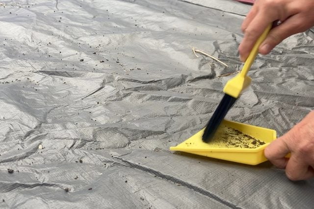 using a yellow brush and dust pan to sweep out a tent
