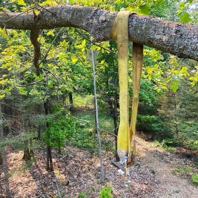 towing strap on branch for a tire swing