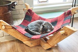 How To Build a Cat Hammock