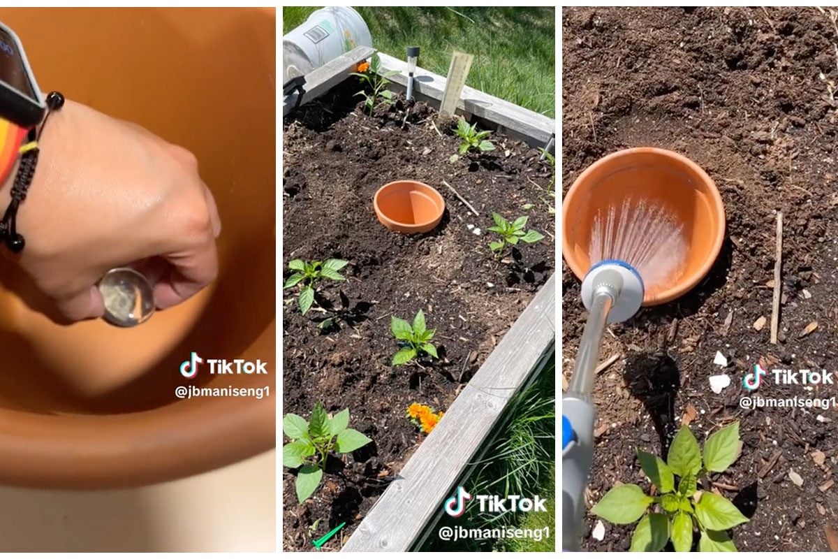 This Easy Self-Watering Hack Will Keep Your Garden Watered All