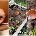 This Easy Self-Watering Hack Will Keep Your Garden Watered All Summer