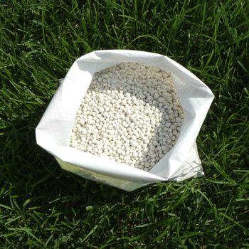 Fertilizer for grass, lawn, meadow in a bag of white granules on a background of green grass. Close up of mineral fertilizer granules used on grass lawns and gardens to maintain health and growth.