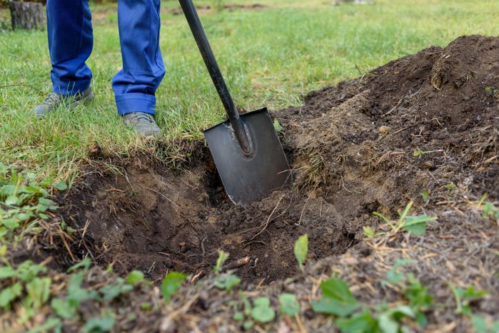 Man digging hole with shovel