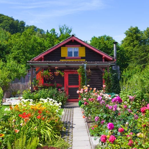 Create a Dream Cottage Garden With These 12 Flowers