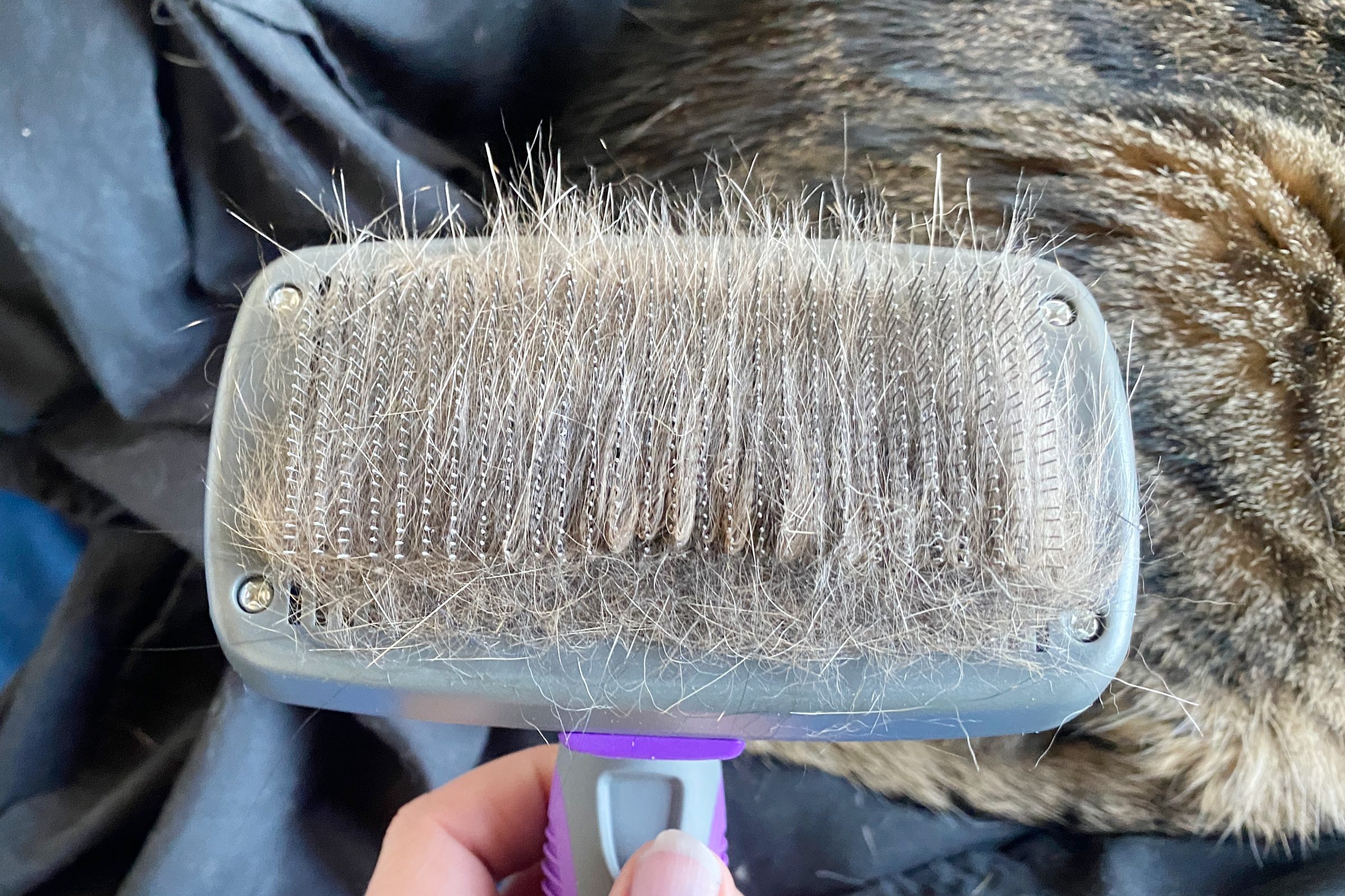 Hertzko pet brush with cat hair