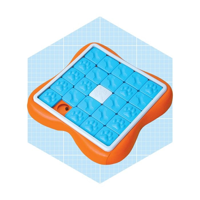 Interactive Treat Puzzle Dog Toy Ecomm Via Amazon.com
