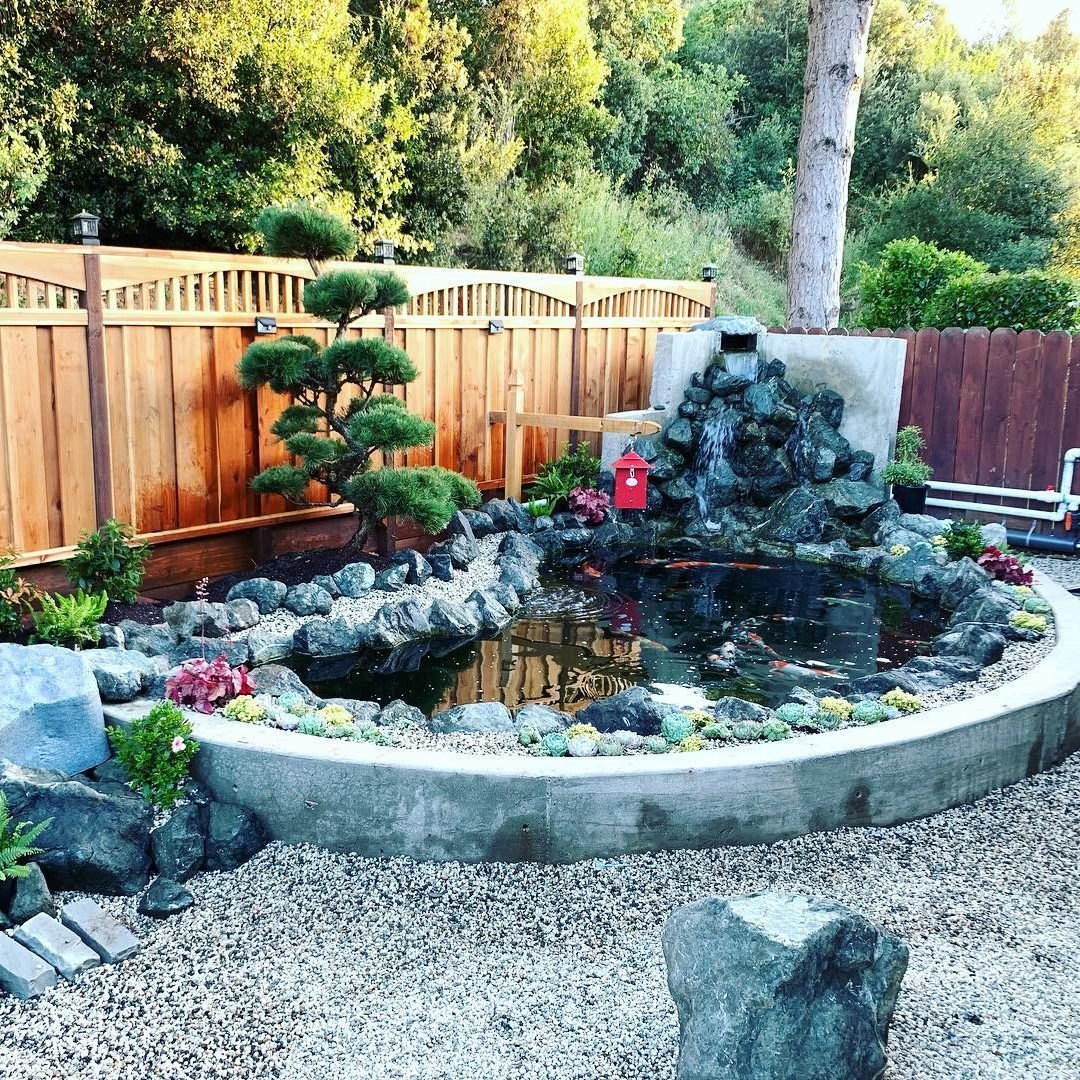 backyard pond ideas
