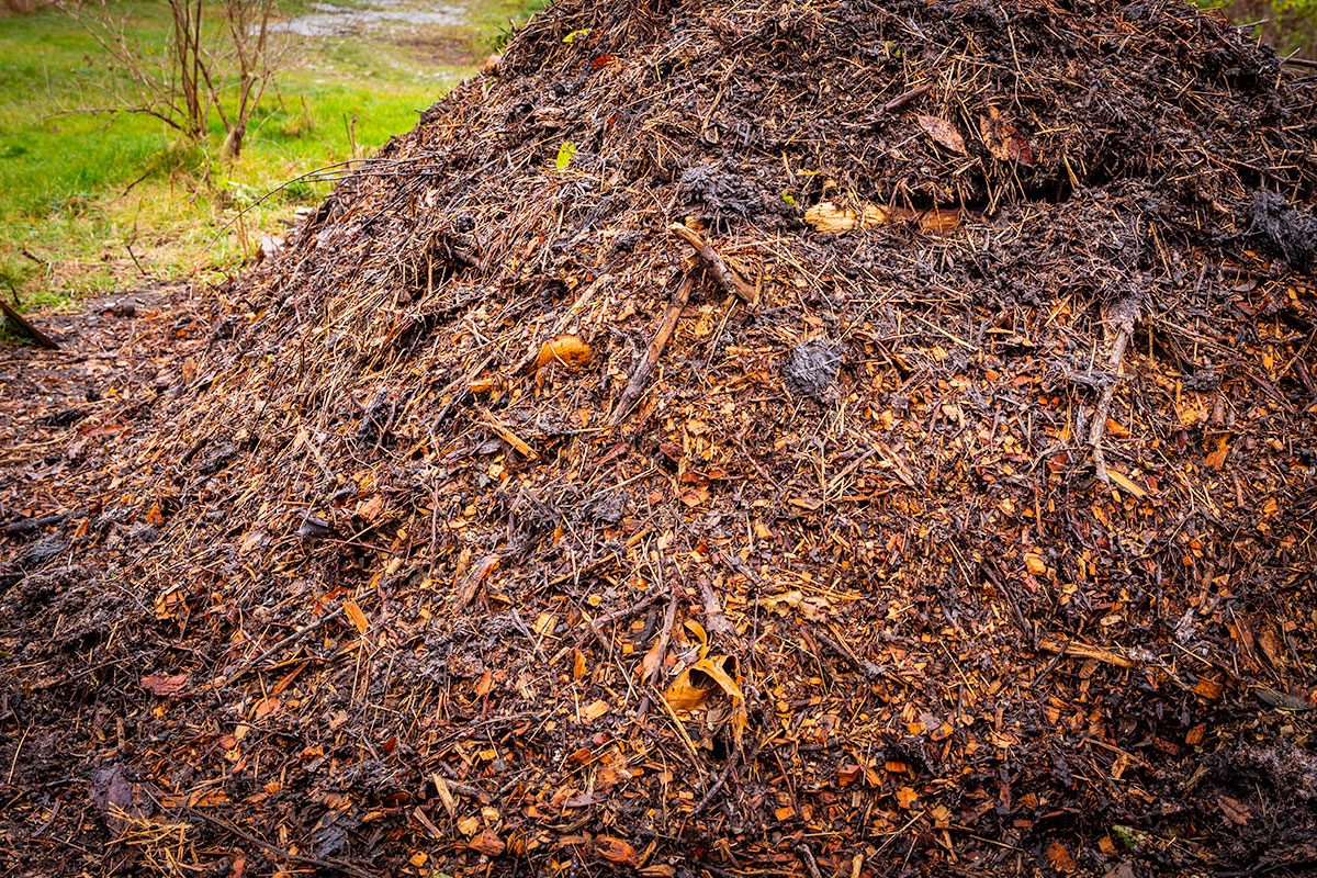 Close Up View Of Compost Layer Added To Hügelkultur Bed During The Building Process