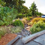 What Exactly Is a Bioswale?