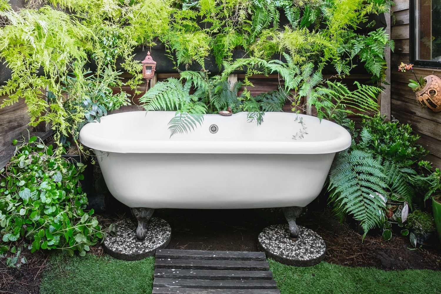Bathtub surrounded by ferns outdoors in backyard