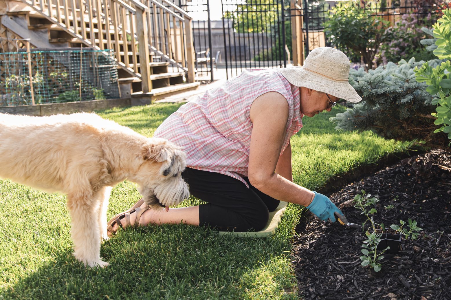 Older woman planting flowers in a garden with her dog beside