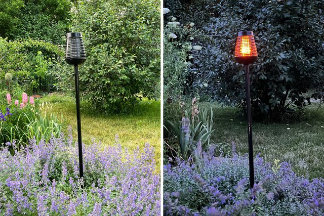Split Screen Day And Night Pic Insect Killer Torch
