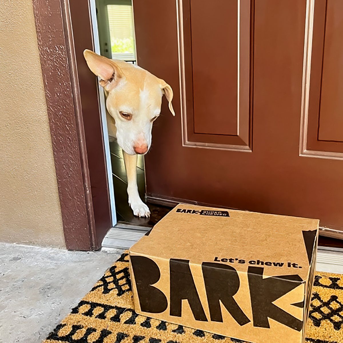 Barkbox Super Chewer Box on Doormat and Dog in middle of Door 