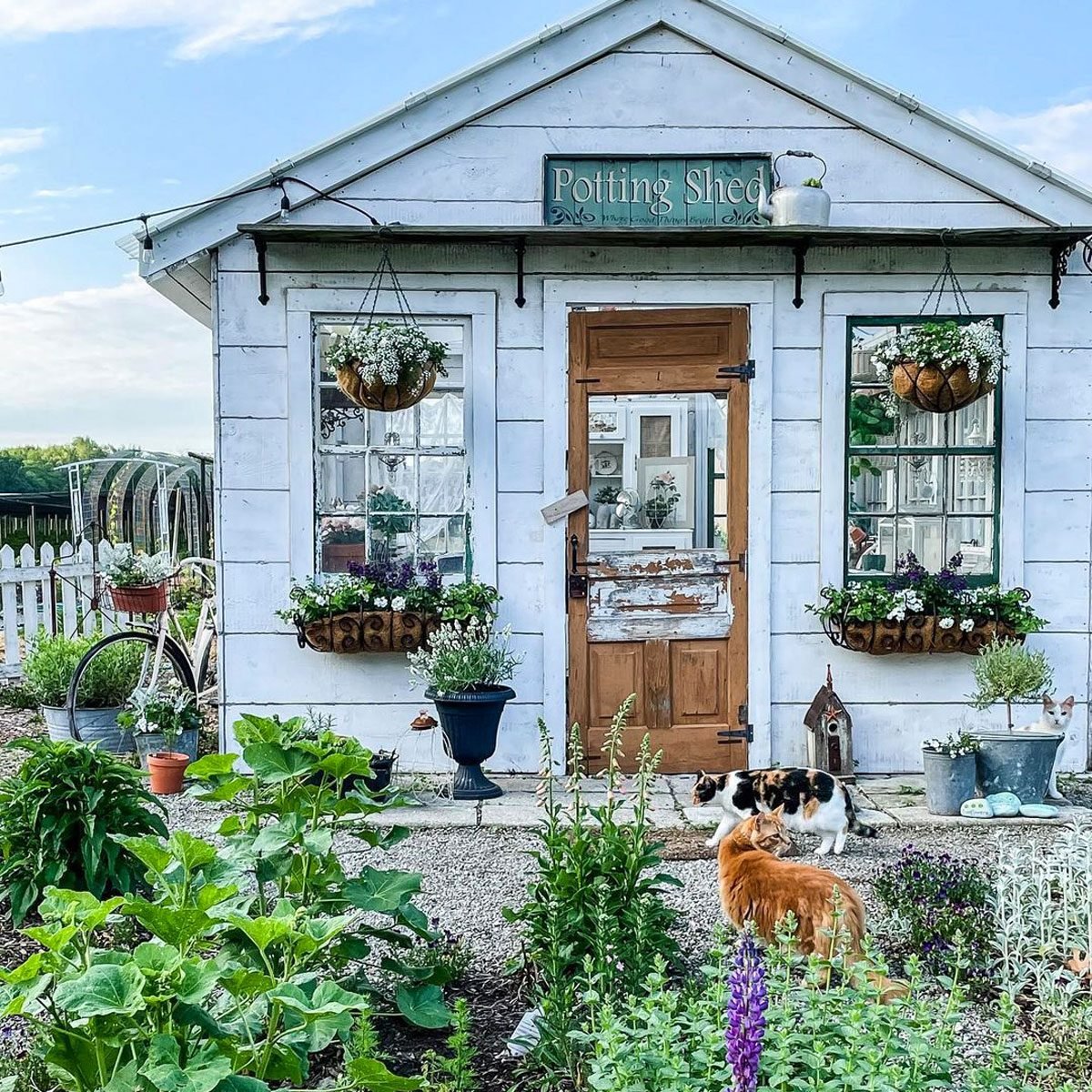 Charming Recycled Potting Shed