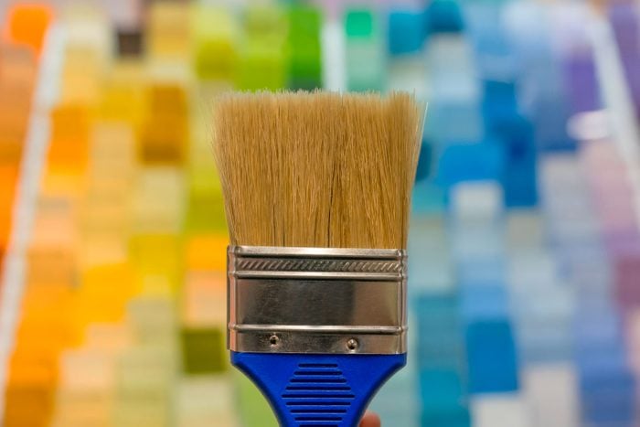 Close-up on a paint brush with color samples at the background at a home improvement store