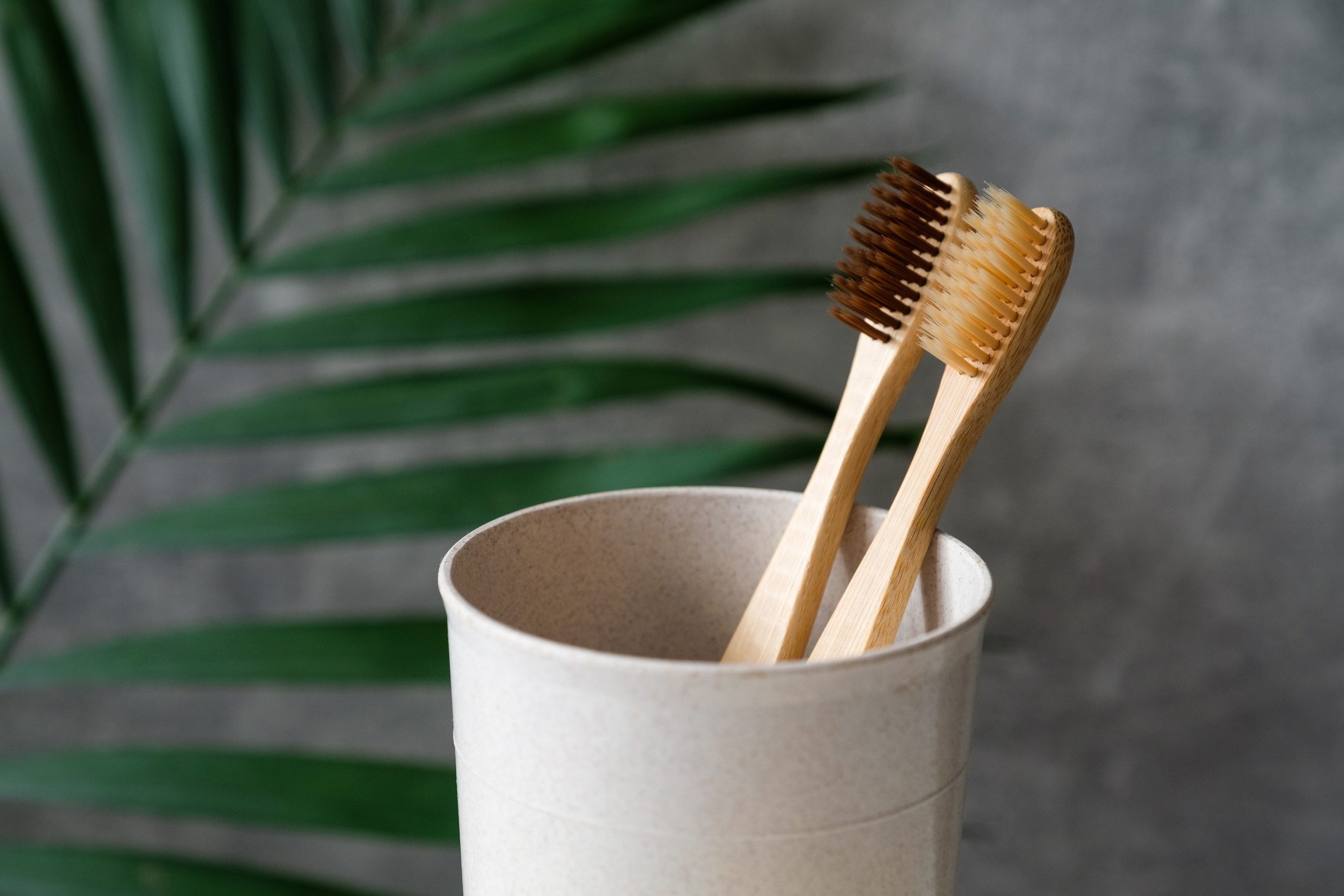 Eco friendly bamboo toothbrushes in glass