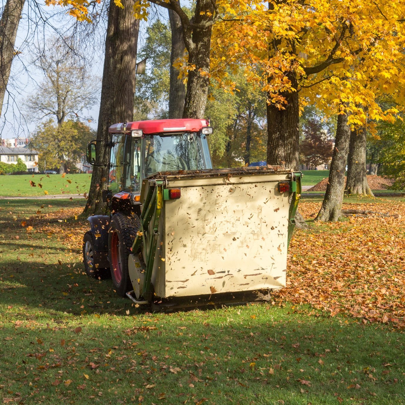 Vacuum sweeper towed by a tractor work in autumn park.