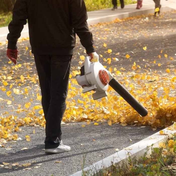 A man, a utility worker, removes leaves