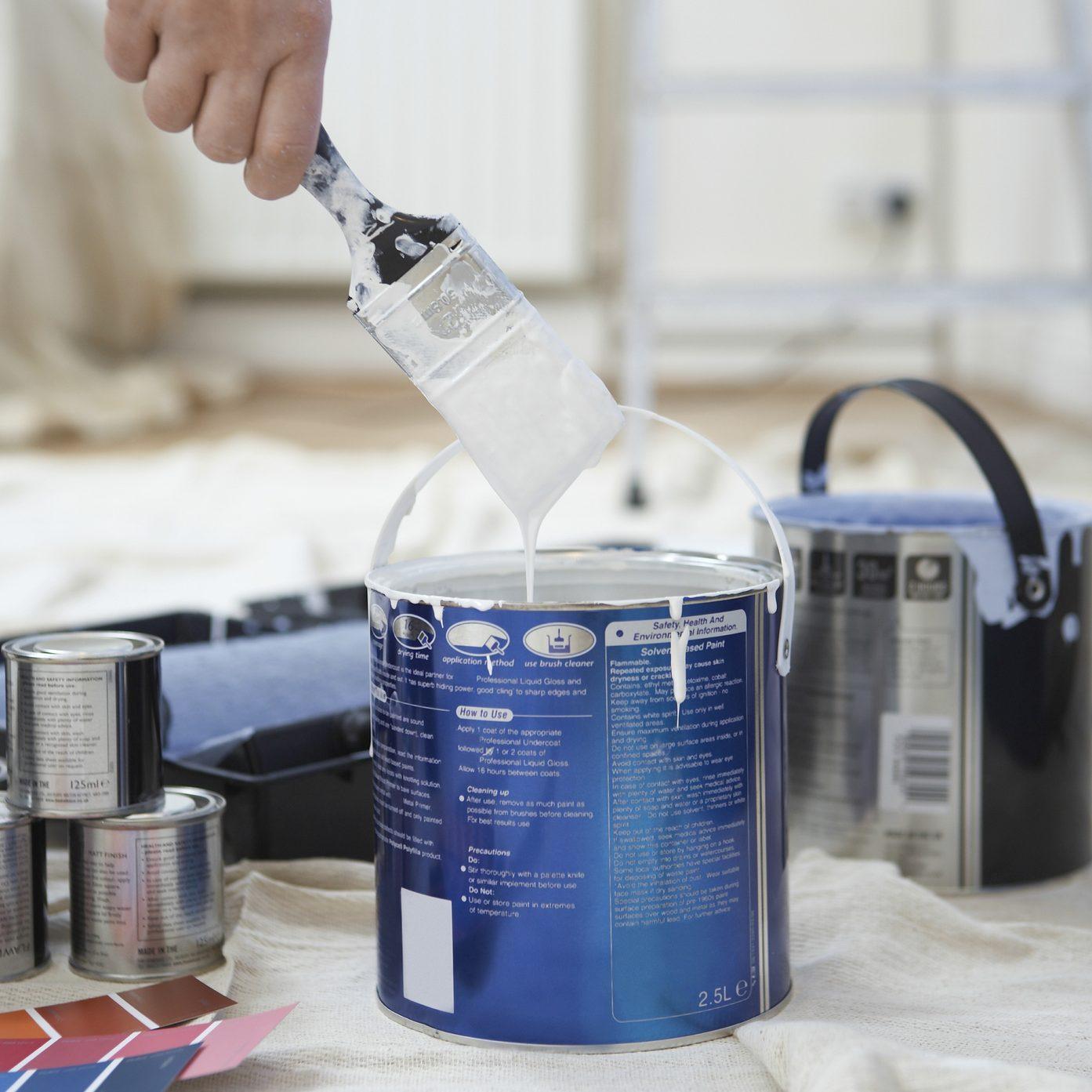 Low VOC vs. Odorless Paint: How each can affect your property - Learn About  Paint Types
