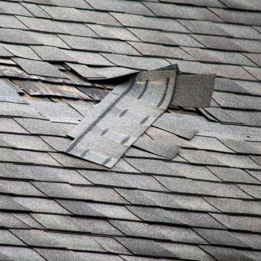 Damaged Roof Shingles