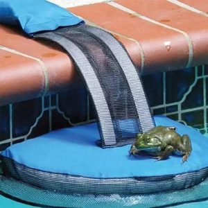 The FrogLog Pool Ramp Saves Frogs, Squirrels and Other Animals From the Water