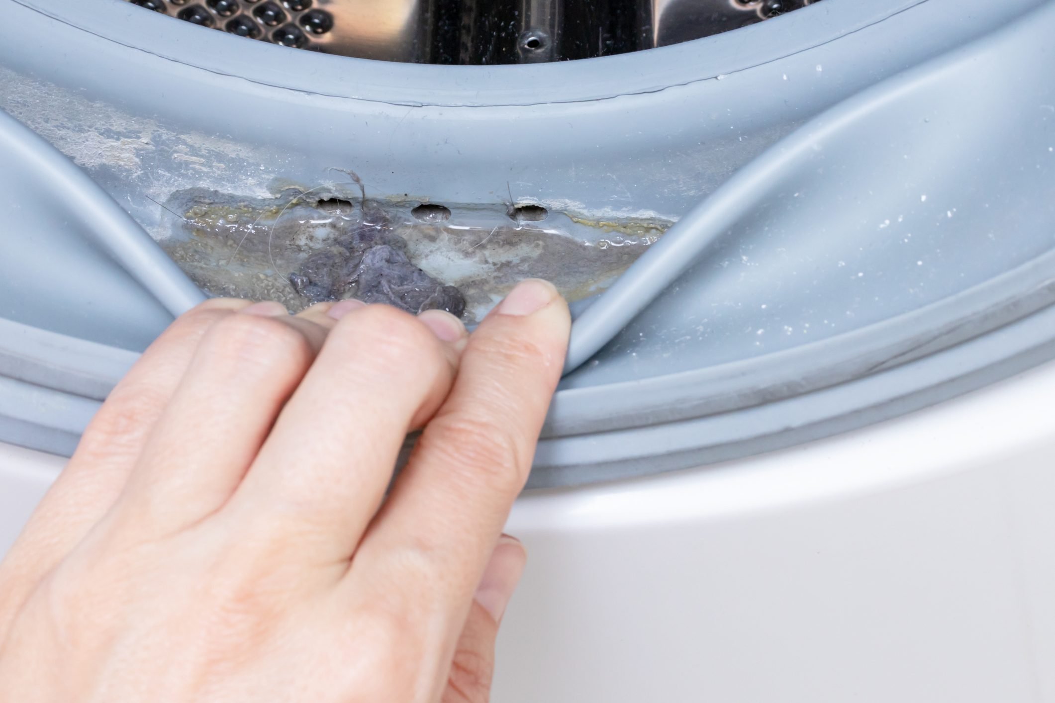 Dirty moldy washing machine sealing rubber and drum close up. Mold, dirt and limescale in washing machine. Home appliances periodic maintenance
