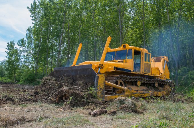 Bulldozer Eradicating forest to prepare for planting trees