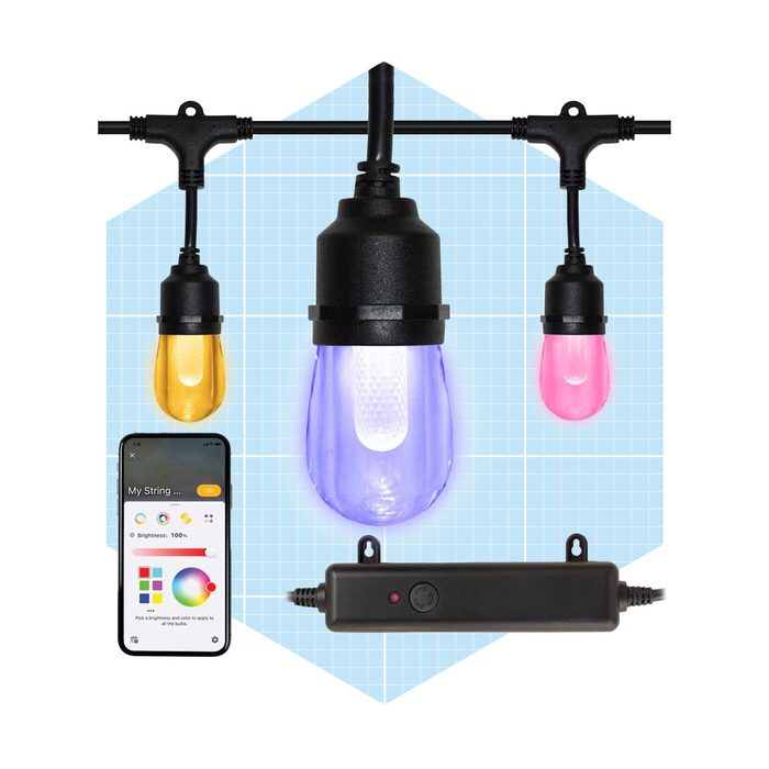 Indoor Outdoor 12 Light 24 Ft. Smart Plug In Edison Bulb Rgbw Color Changing Led String Light